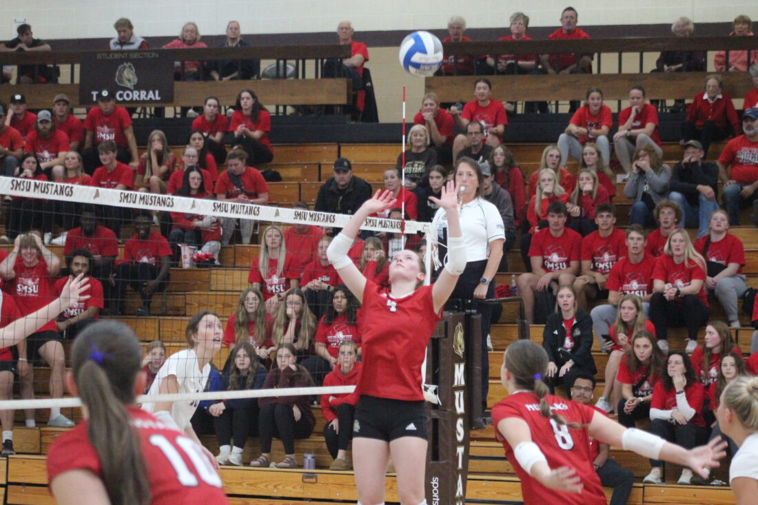 Mustangs fall to Winona behind night of errors News, Sports, Jobs